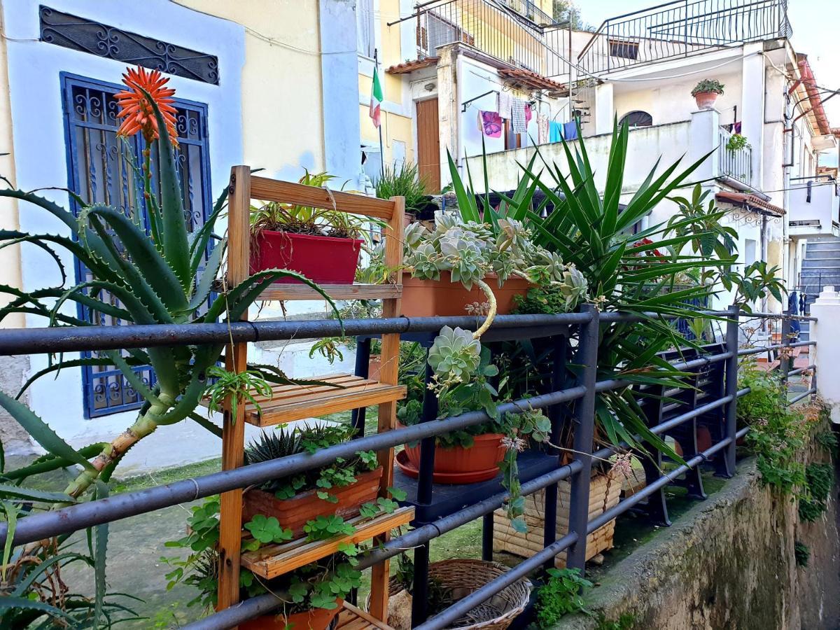 2 Bed Apartment In The Historical Center Pizzo Pizzo  Eksteriør billede